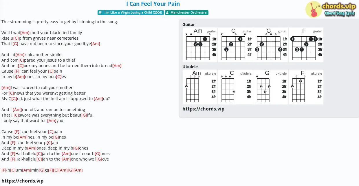 Chord I Can Feel Your Pain Manchester Orchestra Tab Song Lyric Sheet Guitar Ukulele Chords Vip