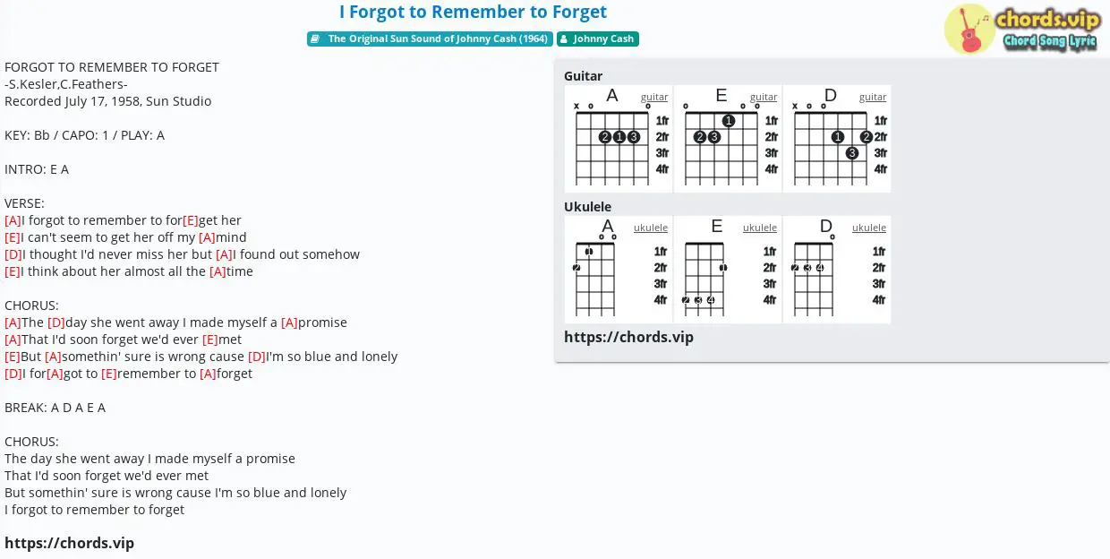 I Forgot To Remember To Forget - Guitar Chords/Lyrics
